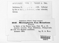 Image Associated With the Occurence
